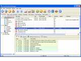 Free Download Manager Lite v3.0