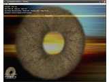 FurMark v1.8.2