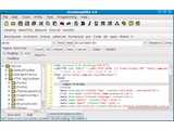 Arachnophilia v5.4 (build 2445)