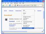Firefox extension for WebSite-Watcher v1.0.5