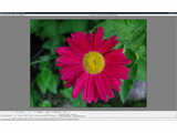 WildBit Viewer (Portable) v5.8