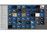 ACDSee v14.1.137