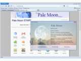 Pale Moon v12.2