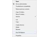 door2windows Easy File Replacer v1