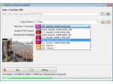 VSVideoDownloaderLite (Portable) v0.7.1.809
