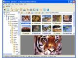 XnView v1.82.4