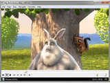 Media Player Classic Home Cinema (32-bit) (portable) v1.6.6.6957