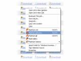 FlashGot v1.0.4.4