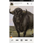 Google Play Music finally arrives for iOS Google Play Music finally arrives for iOS