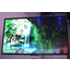 Sony denies it has halted OLED development Sony denies it has halted OLED development