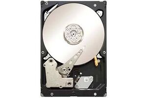 Seagate Constellation 500 GB