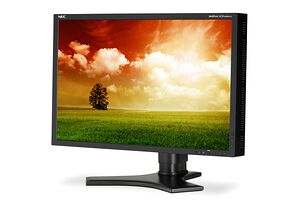 NEC MultiSync LCD2490W2