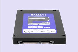 Zalman SSD0256P1