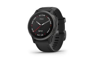 Garmin Fenix 6S Sapphire