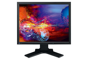 Eizo FlexScan S2000