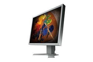 Eizo FlexScan S2100