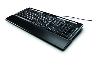 HP USB Multimedia Keyboard