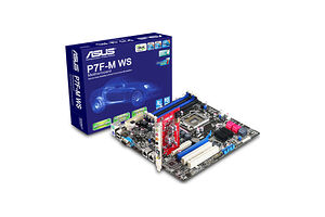 Asus P7F-M WS